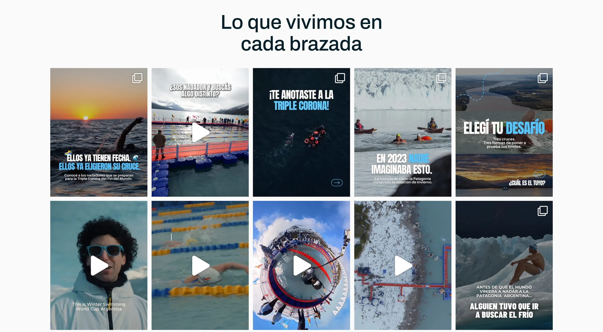 Grilla de publicaciones de Instagram de Nadando Argentina en la sección Lo que vivimos en cada brazada