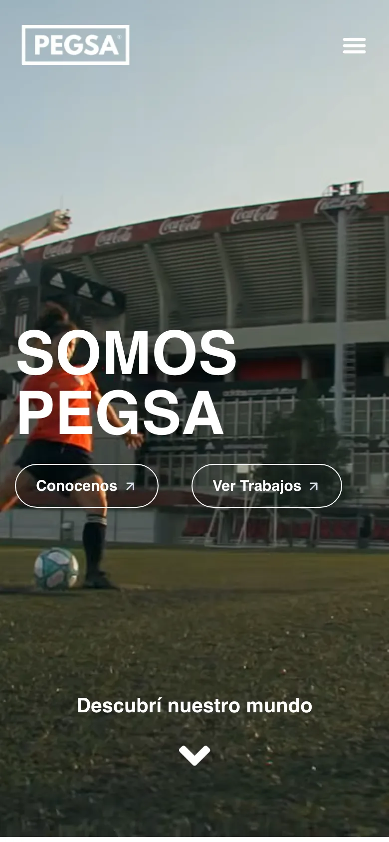 Home de PEGSA en mobile